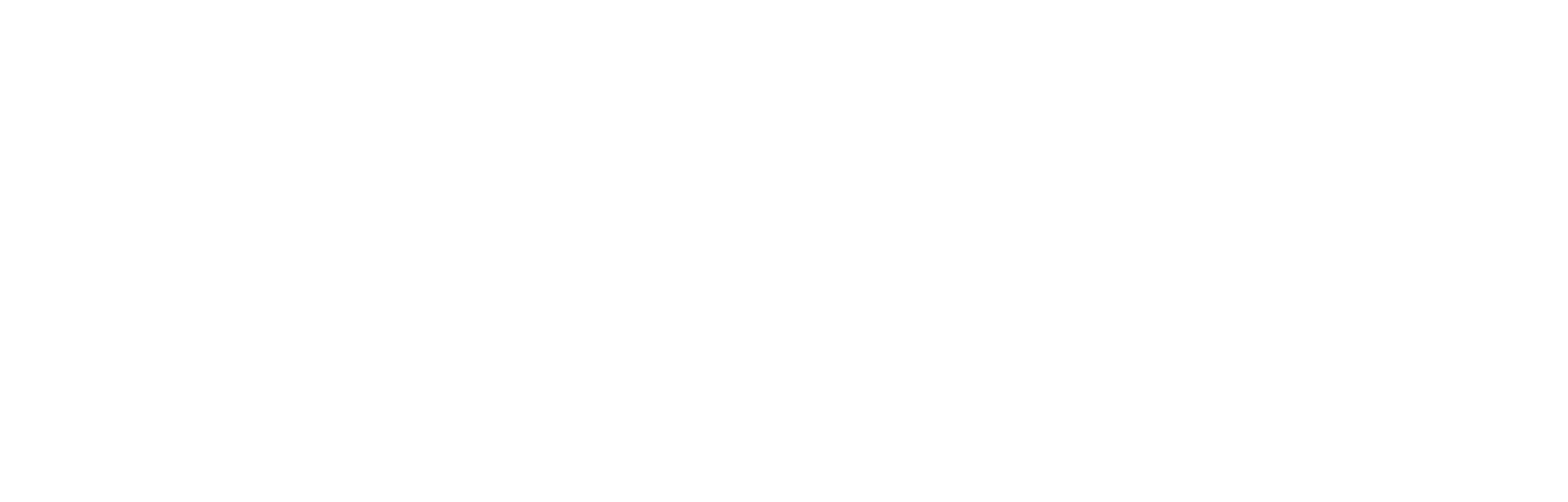 TNT Studio Logo